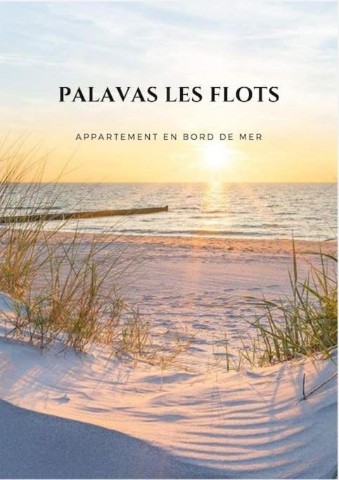 Appartement Palavas Les Flots T2 + Parking Prive المظهر الخارجي الصورة